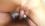 Amateur,Other - 1