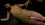 Popular AV actress,SM - 1