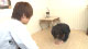 入会はこちらから！