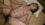 Amateur - 1