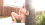 Amateur - 1